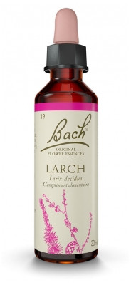 Fleur de Bach Original Larch 20 ml - Pharmacie Agnès Praden à Alès