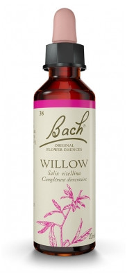Fleur de Bach Original Willow 20 ml - Pharmacie Agnès Praden à Alès