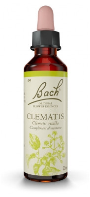 Fleur de Bach Original Clematis 20 ml - Pharmacie Agnès Praden à Alès