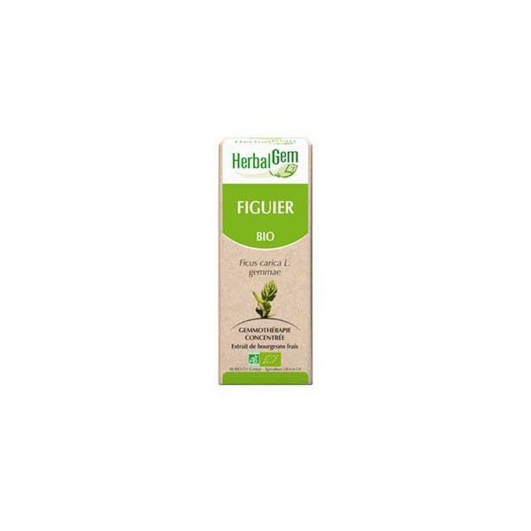 Herbalgem figuier bio 30ml - Pharmacie Agnès Praden à Alès