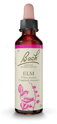 Fleur de Bach Original Elm 20 ml - Pharmacie Agnès Praden à Alès
