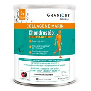 Laboratoire des Granions Chondrostéo Collagène Marin 280g - Pharmacie Agnès Praden à Alès