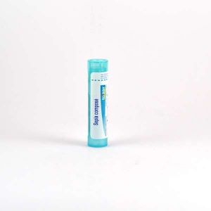 Boiron Sepia Composé Tubes Granules  - Pharmacie Agnès Praden à Alès