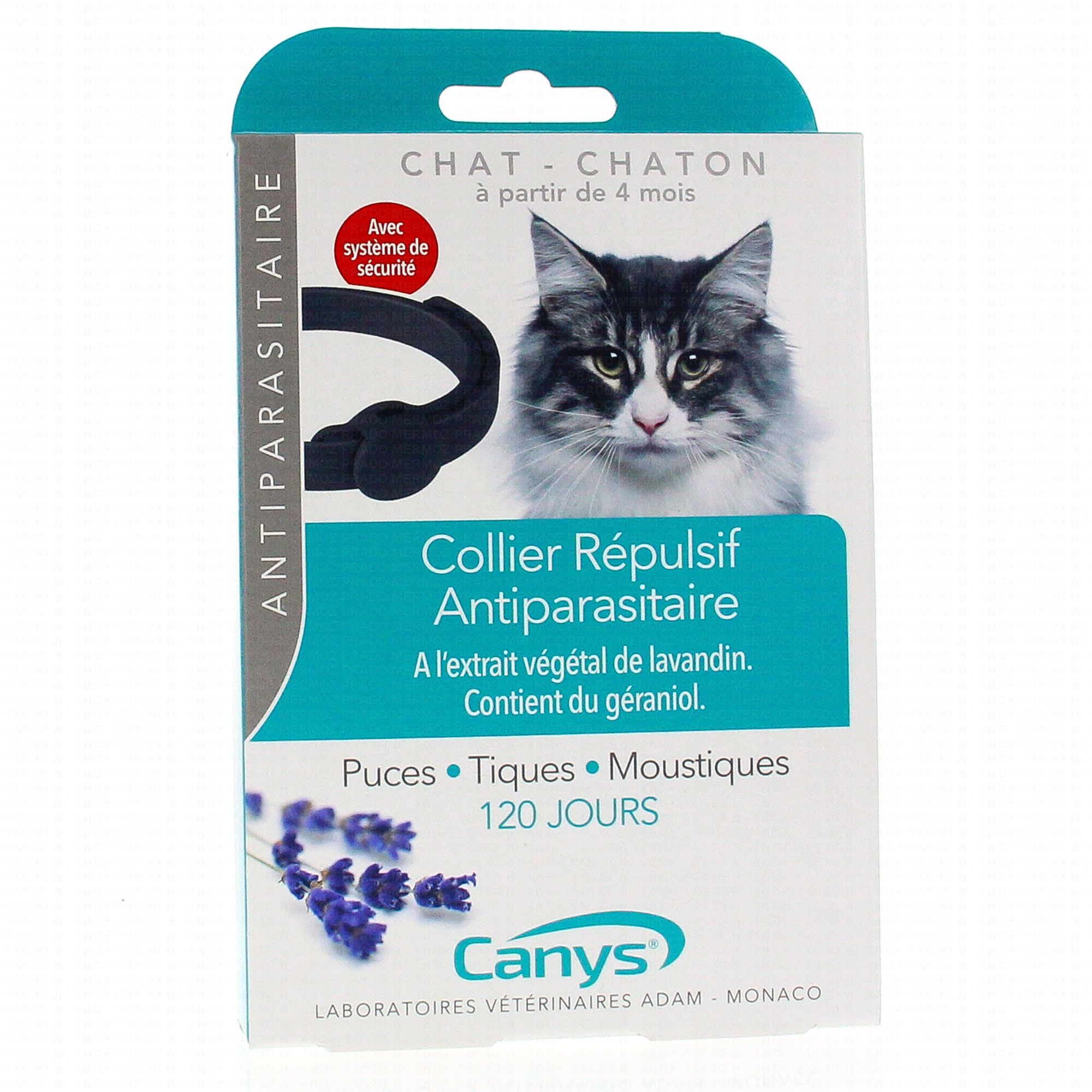 Asepta canys collier antiparasitaire insectifuge chat chaton - Pharmacie Agnès Praden à Alès