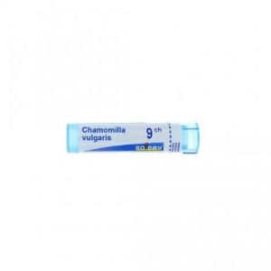 Boiron Chamomilla Vulgaris 9ch 4g - Pharmacie Agnès Praden à Alès