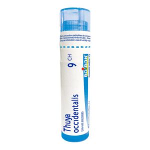 Boiron Thuya Occidentalis 9CH Tube 80 Granules - Pharmacie Agnès Praden à Alès