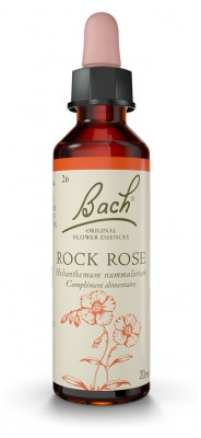 Fleur de Bach Original Rock Rose 20 ml - Pharmacie Agnès Praden à Alès