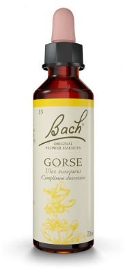Fleur de Bach Original Gorse 20 ml - Pharmacie Agnès Praden à Alès