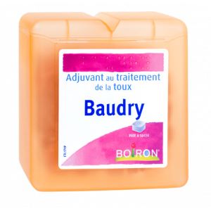 Boiron Pâtes Baudry 70 Pastilles - Pharmacie Agnès Praden à Alès