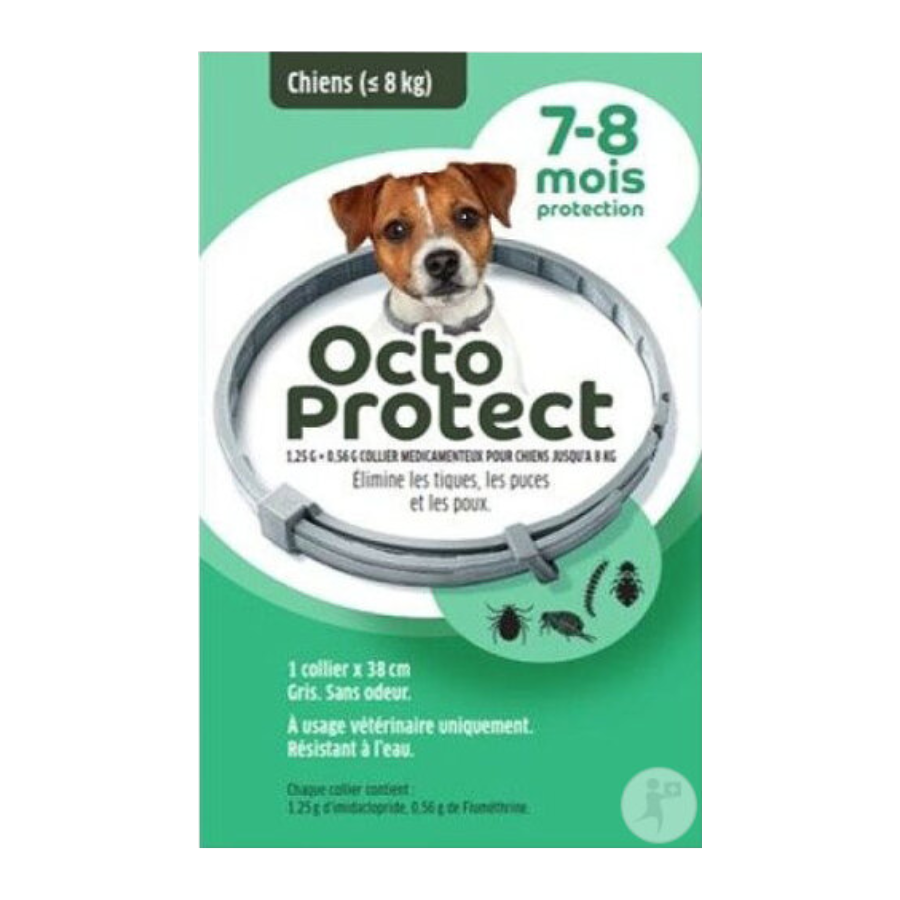 Octoprotect Collier Petit Chien  moins 8 Kg - Pharmacie Agnès Praden à Alès