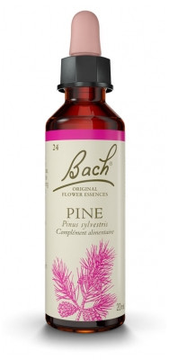 Fleur de Bach Original Pine 20 ml - Pharmacie Agnès Praden à Alès