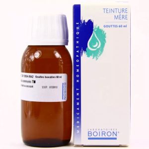Boiron Arnica Montana Teinture Mère 60 ml - Pharmacie Agnès Praden à Alès