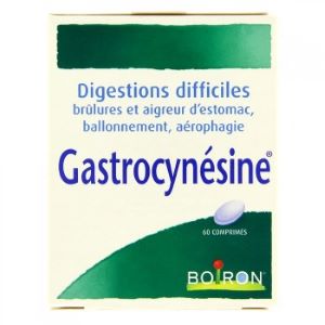 Boiron Gastrocynésine, 60 Comprimés A Sucer - Pharmacie Agnès Praden à Alès