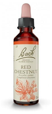 Fleur de Bach Original Red Chestnut 20 ml - Pharmacie Agnès Praden à Alès