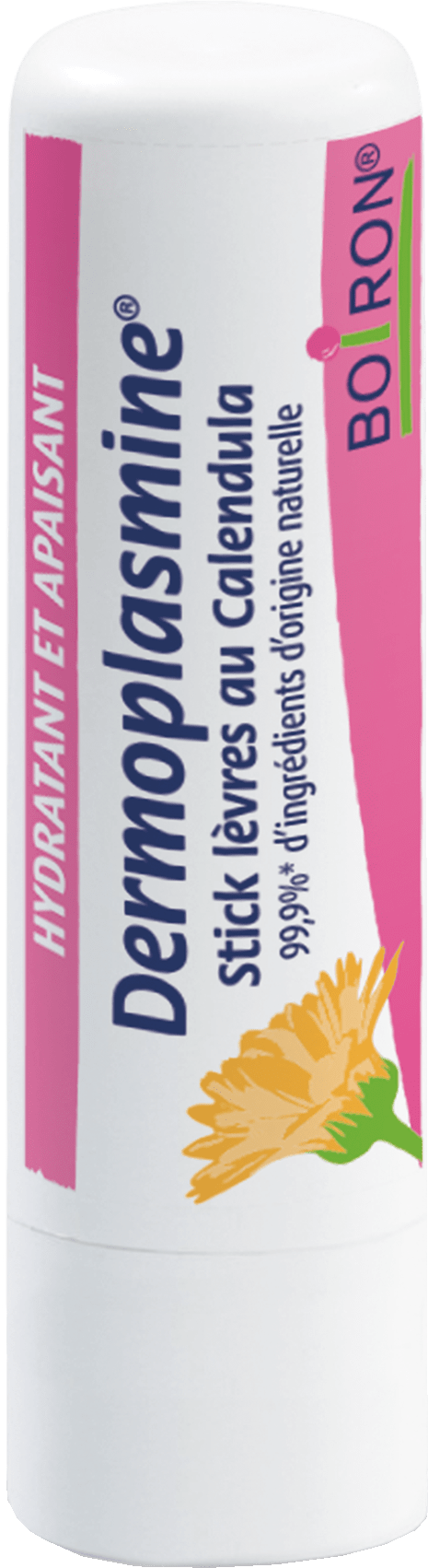 Boiron Dermoplasmine 2 sticks - Pharmacie Agnès Praden à Alès