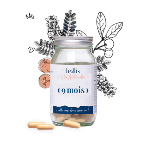 Hollis 9 Mois 90 gélules - Pharmacie Agnès Praden à Alès