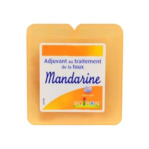 Boiron Pâte Pectorales à La Mandarine Pâtes à Sucer 60 g - Pharmacie Agnès Praden à Alès