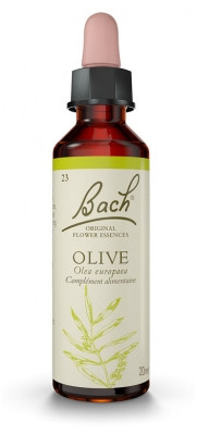 Fleur de Bach Olive 20ml - Pharmacie Agnès Praden à Alès