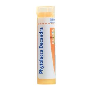Boiron phytolacca Decandra 15CH Tube 80 Granules - Pharmacie Agnès Praden à Alès