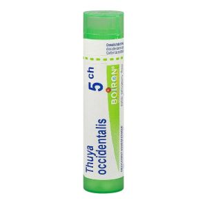Boiron Thuya Occidentalis 5CH Tube 80 Granules - Pharmacie Agnès Praden à Alès