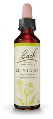 Fleur de Bach Original Mustard 20 ml - Pharmacie Agnès Praden à Alès