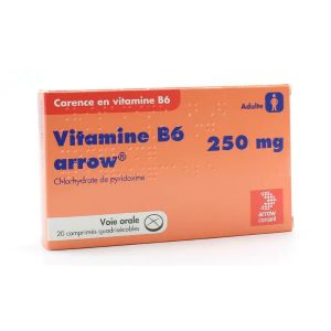 Arrow Vitamine B6 250 Mg, 20 Comprimés Quadrisécables - Pharmacie Agnès Praden à Alès