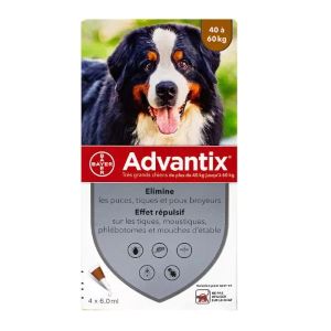 Elanco Advantix Très Grand Chien 40 à 60kg 4 Pipettes - Pharmacie Agnès Praden à Alès