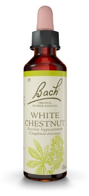 Fleur de Bach Original White Chestnut 20 ml - Pharmacie Agnès Praden à Alès