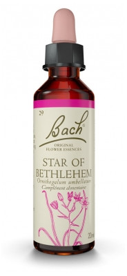 Fleur de Bach Original Star of Bethlehem 20 ml - Pharmacie Agnès Praden à Alès