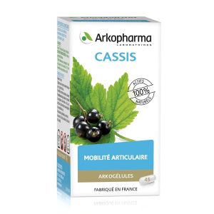 Arkopharma Arkogélules Cassis Bio 45 Gélules - Pharmacie Agnès Praden à Alès