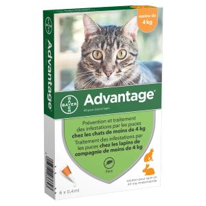 Advantage 40 Pour Petit Chat Et Lapin Moins De 4 Kilos 6x0.4ml - Pharmacie Agnès Praden à Alès