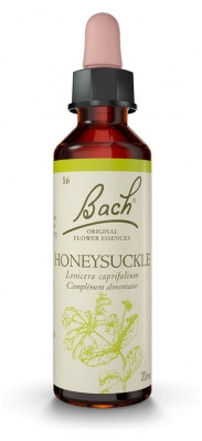Fleur de Bach Original Honeysuckle 20 ml - Pharmacie Agnès Praden à Alès
