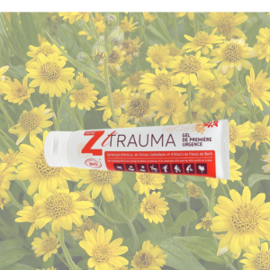 Z-trauma Gel Tube 80g  - Pharmacie Agnès Praden à Alès