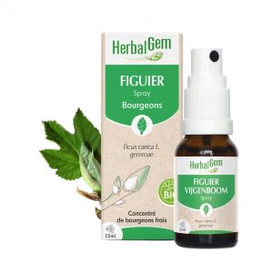 Herbalgem Figuier Spray Bourgeons 15 ml - Pharmacie Agnès Praden à Alès