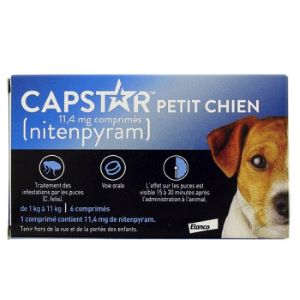 Elanco Capstar 11,4mg Chien De 1 à 11 kg 6 Comprimés  - Pharmacie Agnès Praden à Alès