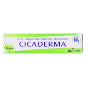 Boiron Cicaderma Pommade 30g - Pharmacie Agnès Praden à Alès