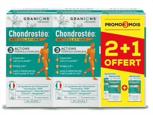 Granion Chondrostéo Articulation 90 comprimés 2+1 offerte - Pharmacie Agnès Praden à Alès
