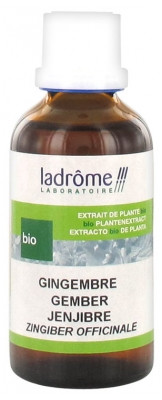 Ladrôme Extrait de Plante Bio Gingembre 50 ml - Pharmacie Agnès Praden à Alès