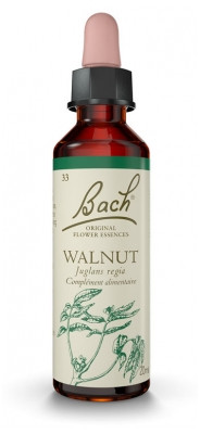 Fleur de Bach Original Walnut 20 ml - Pharmacie Agnès Praden à Alès