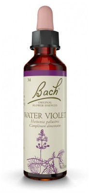 Fleur de Bach Original Water Violet 20 ml - Pharmacie Agnès Praden à Alès