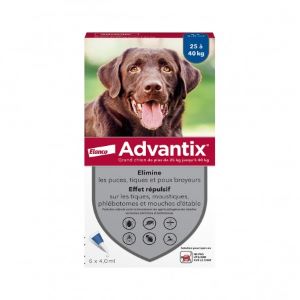 Elanco Advantix Grand Chien 25 à 40 kg 6 pipettes - Pharmacie Agnès Praden à Alès