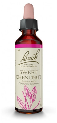Fleur de Bach Original Sweet Chestnut 20 ml - Pharmacie Agnès Praden à Alès