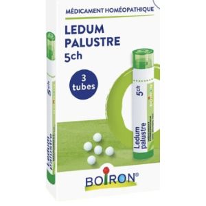 Boiron Ledum Palustre 5CH Granules 3 tubes - Pharmacie Agnès Praden à Alès