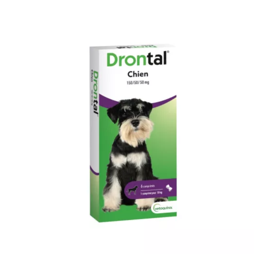 Drontal Chien Boite de 6 Comprimés - Pharmacie Agnès Praden à Alès