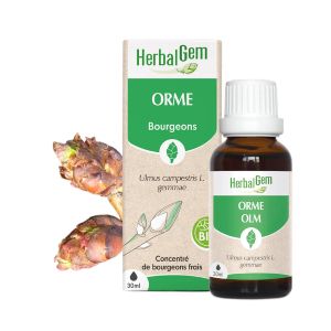 Herbalgem Orme Bourgeon Bio Draineur et Peau 30 ml  - Pharmacie Agnès Praden à Alès