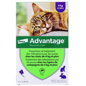 Elanco Advantage 80 Chat Lapin 4kg Ou Plus 4 Pipettes 0,8 ml - Pharmacie Agnès Praden à Alès