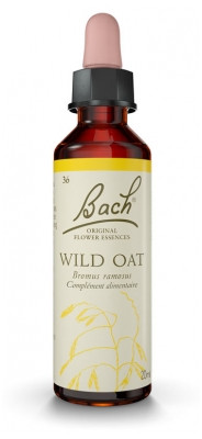 Fleur de Bach Original Wild Oat 20 ml - Pharmacie Agnès Praden à Alès