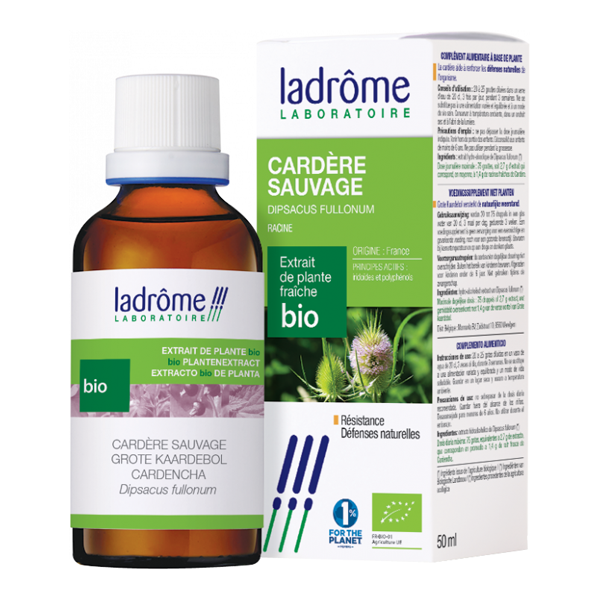 Ladrôme extrait de plante fraîche bio cardère sauvage 50ml - Pharmacie Agnès Praden à Alès