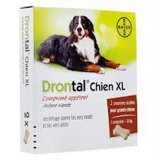 Drontal Chien XL x 2 cp - Pharmacie Agnès Praden à Alès