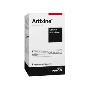 NHCO Artixine 168 Gélules